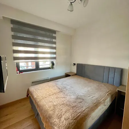 Nikolic 兹拉蒂博尔