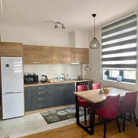 Nikolic 兹拉蒂博尔