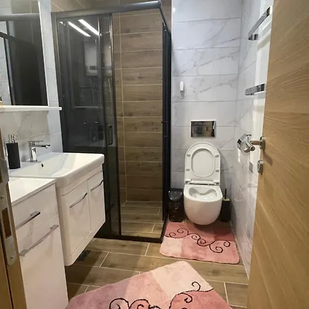 Nikolic * 兹拉蒂博尔