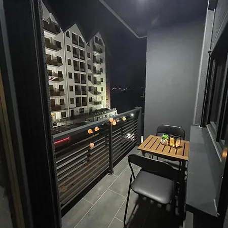 Nikolic 兹拉蒂博尔