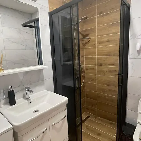 Nikolic * 兹拉蒂博尔