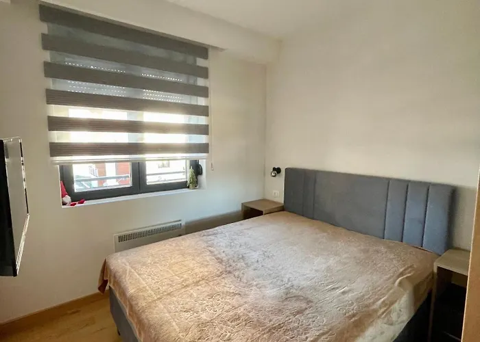 Nikolic 즐라티보