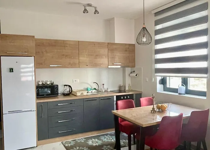 Nikolic 즐라티보