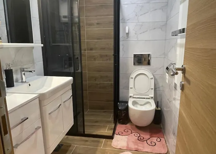 Nikolic * 즐라티보