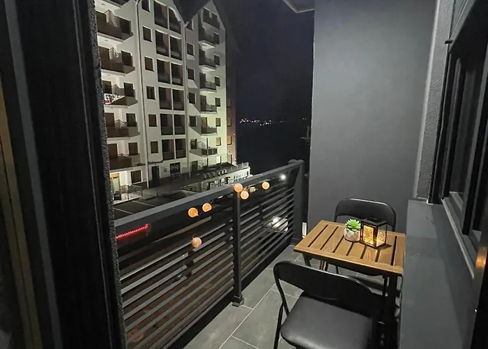 Nikolic 즐라티보