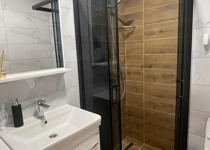 Nikolic * 즐라티보